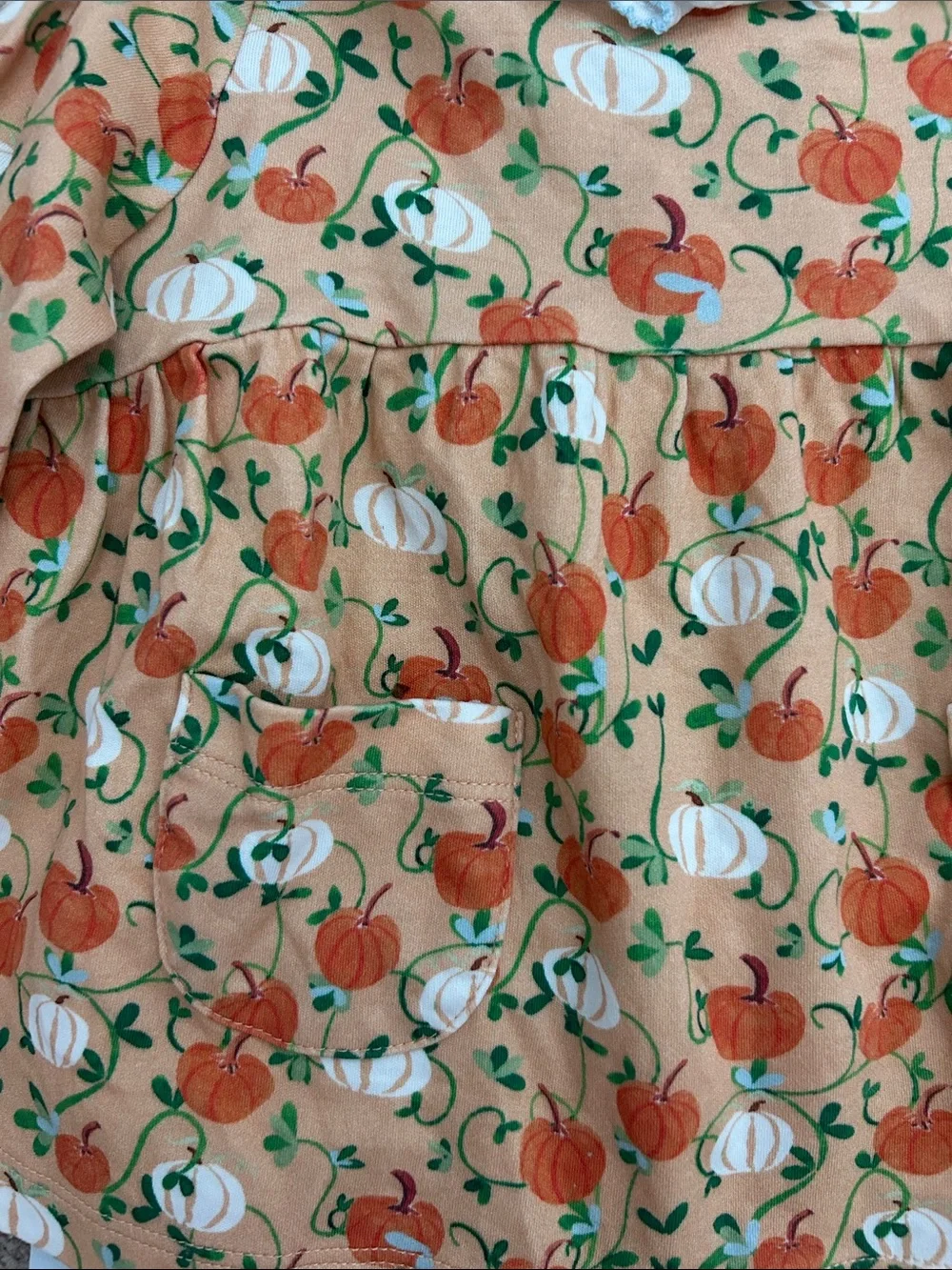 VGUC Proper Peony Autumn Vine Pumpkin Print Long Sleeve bloomer set